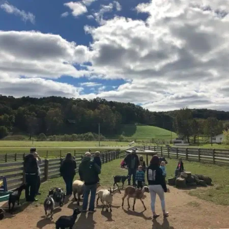 Fall day at the farm event fox's high rock farm